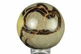 Polished Septarian Sphere - Madagascar #260036-1